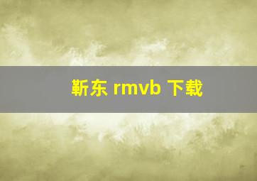 靳东 rmvb 下载